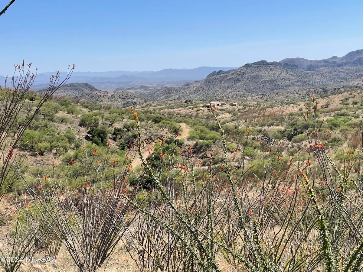 000 Ash Canyon, Tubac, AZ 85646 - #1