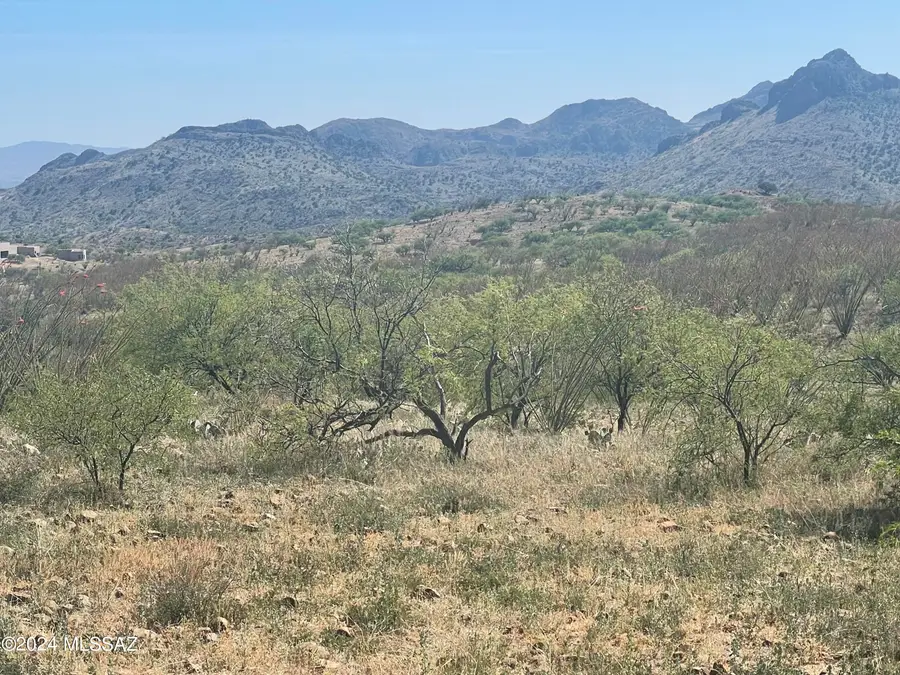 000 Ash Canyon, Tubac, AZ 85646 - #3