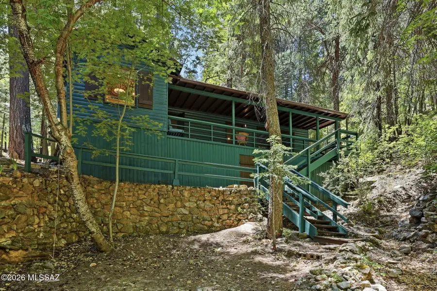 10982 E Wren, Mount Lemmon, AZ 85619 - #2