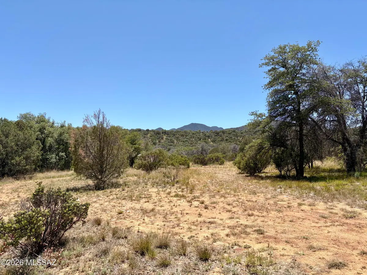 64 Forest Service 5539, Patagonia, AZ 85624 - #1
