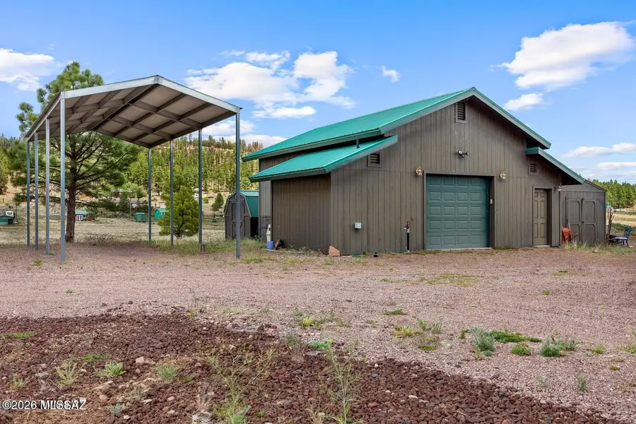 6 County Road 2099, Alpine, AZ 85920 - #3