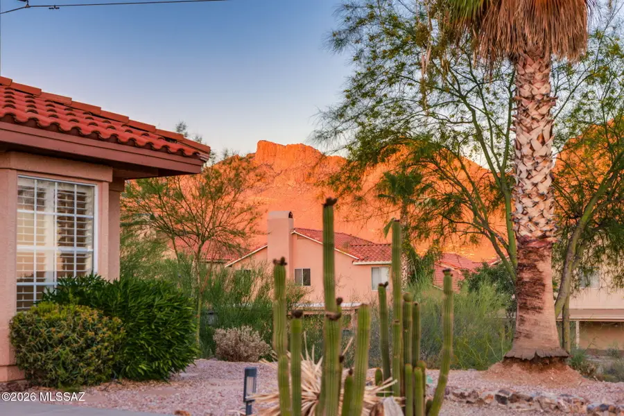 10578 N Camino Rosas Nuevas, Oro Valley, AZ 85737 - #2