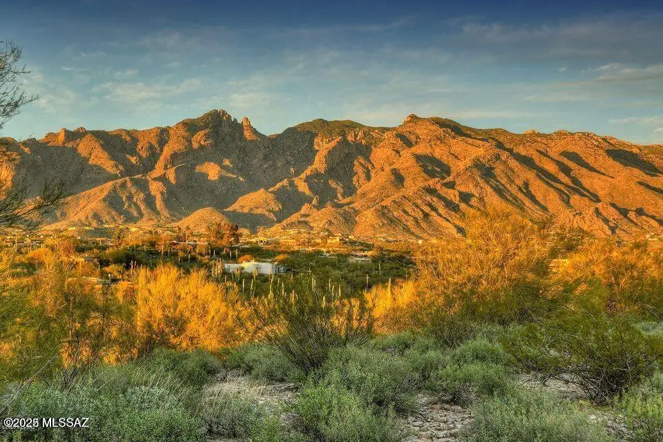 5145 N Camino Antonio, Tucson, AZ 85718 - #1