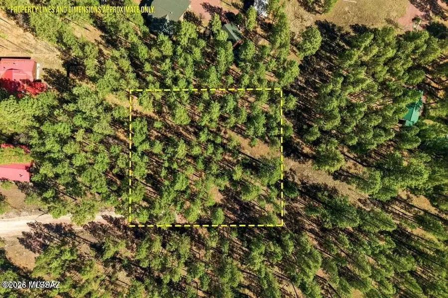 11 County Road 2135, Alpine, AZ 85920 - #2
