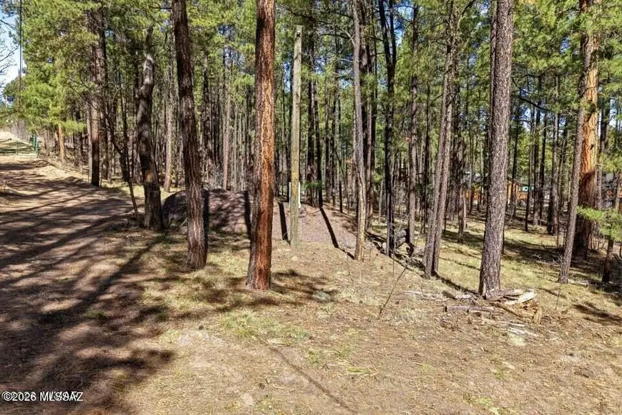 11 County Road 2135, Alpine, AZ 85920 - #3