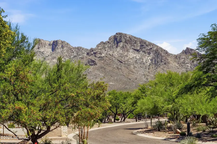 109 E Loch Lomond, Oro Valley, AZ 85737 - #3