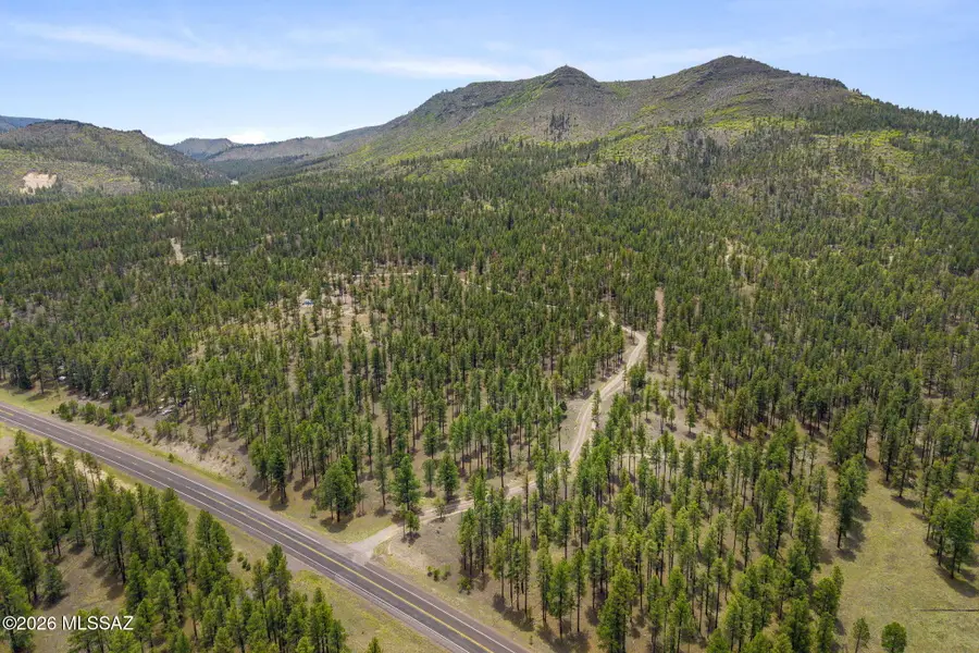 2184 N Highway 191, Nutrioso, AZ 85932 - #2