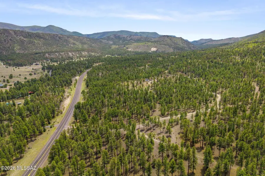 2184 N Highway 191, Nutrioso, AZ 85932 - #3