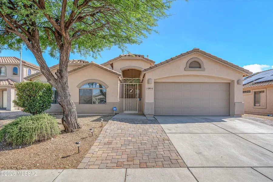 12972 E Douglas Camp Spring, Vail, AZ 85641 - #3