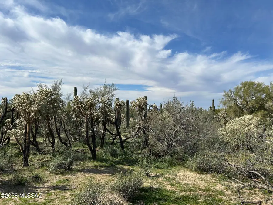 N Camino De Oeste, Tucson, AZ 85742 - #3