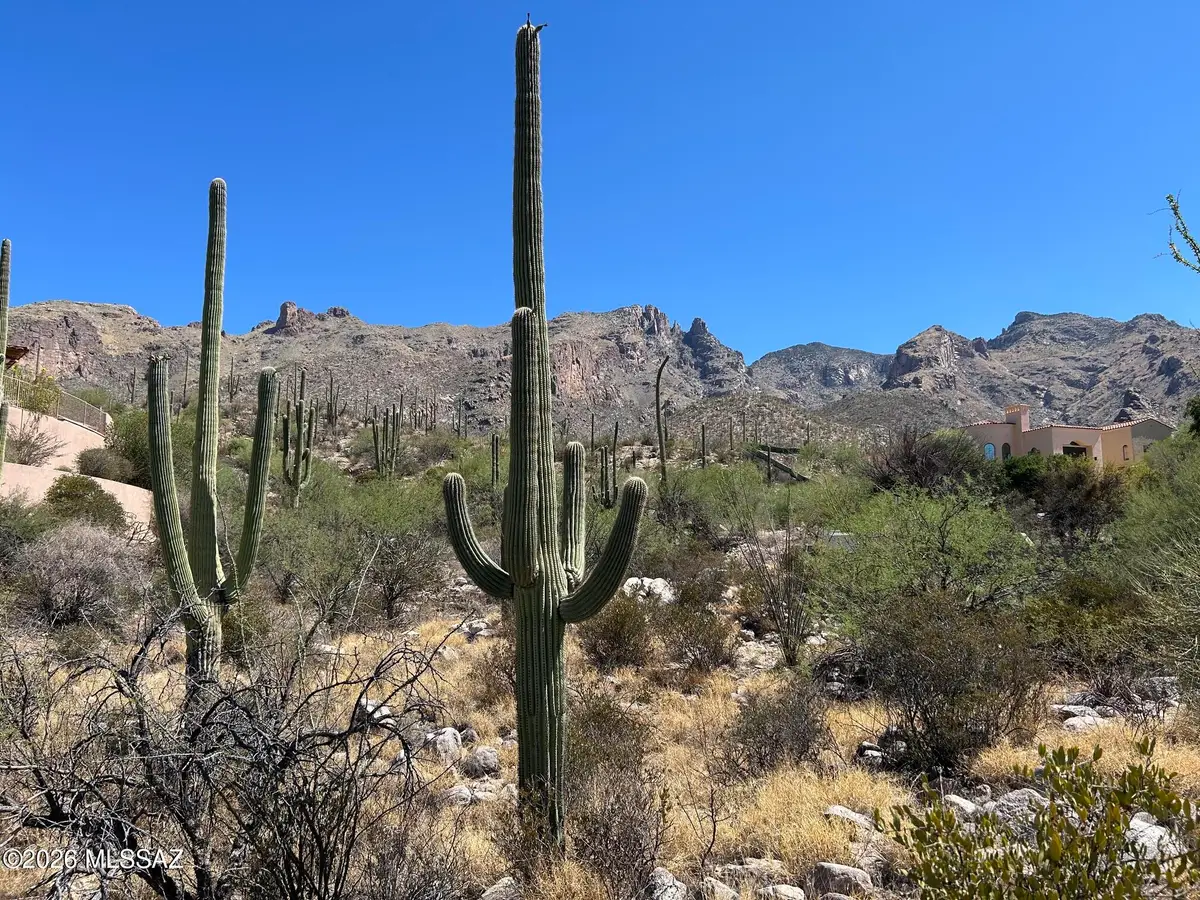 7128 N Mercer Spring, Tucson, AZ 85718 - #1