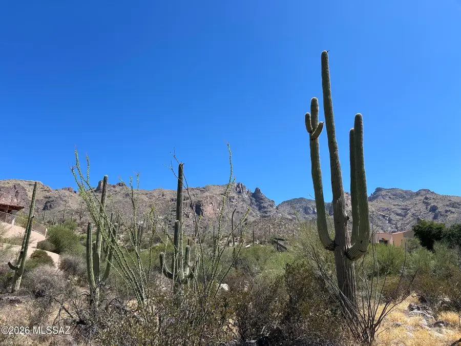 7128 N Mercer Spring, Tucson, AZ 85718 - #3