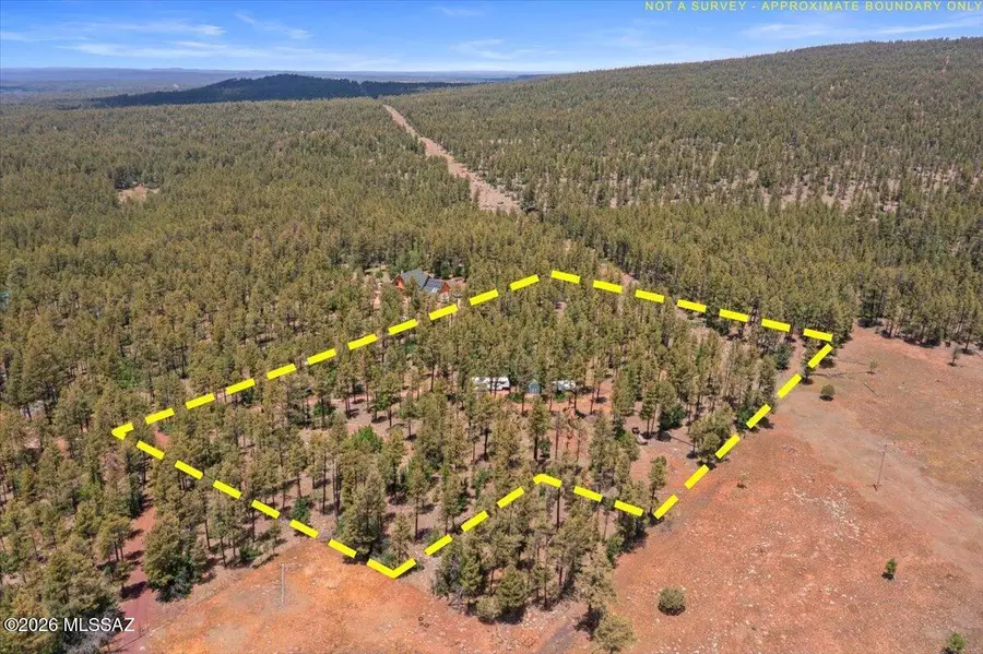 TBD E Sawmill, Pinetop, AZ 85935 - #2
