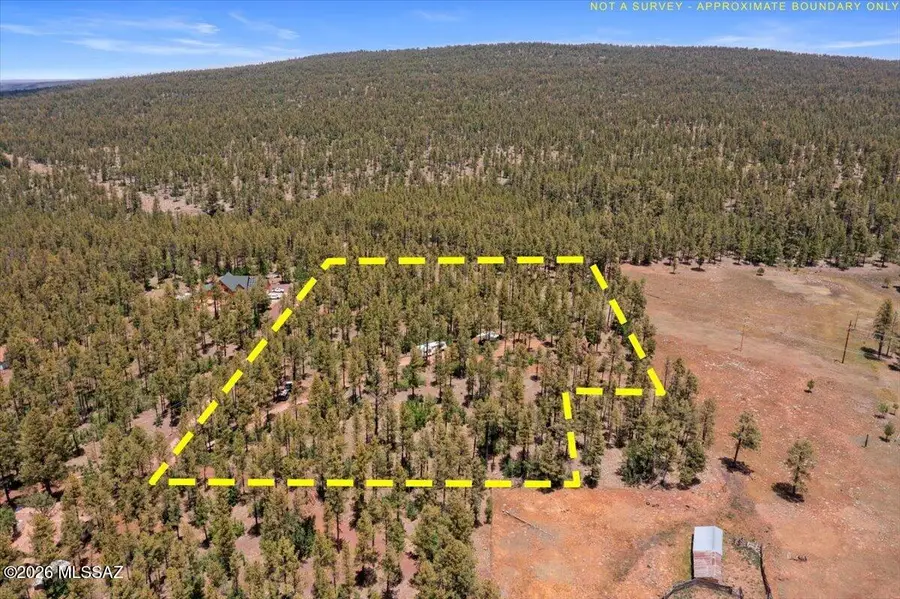 TBD E Sawmill, Pinetop, AZ 85935 - #3