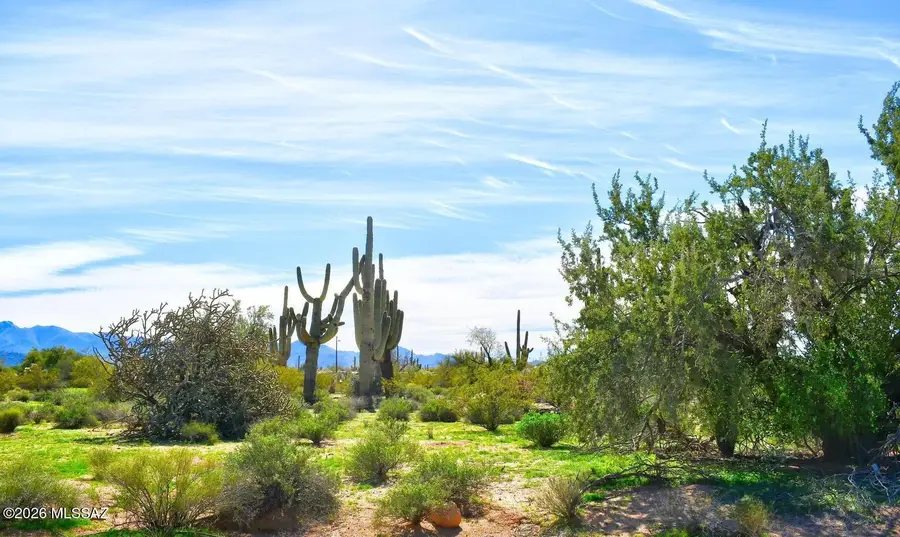 7320 N Sandario, Tucson, AZ 85743 - #3