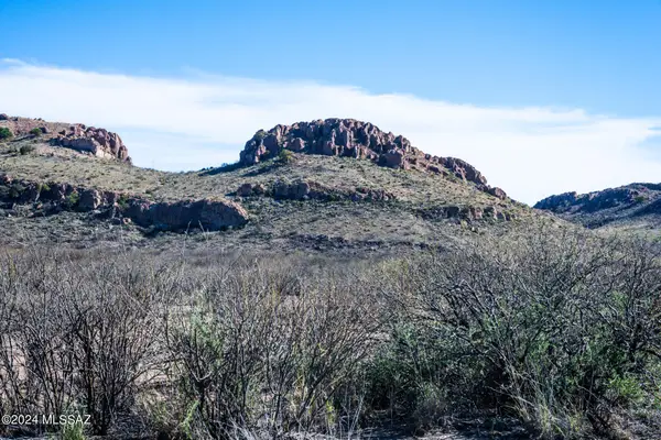 20 Acres E Mud Springs, Douglas, AZ 85607