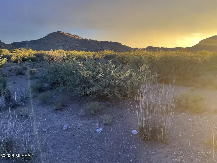 20 Acres E Mud Springs, Douglas, AZ 85607 - #3