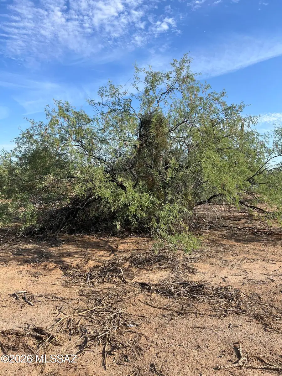 16537 N Avenida Del Oro, Tucson, AZ 85739 - #3