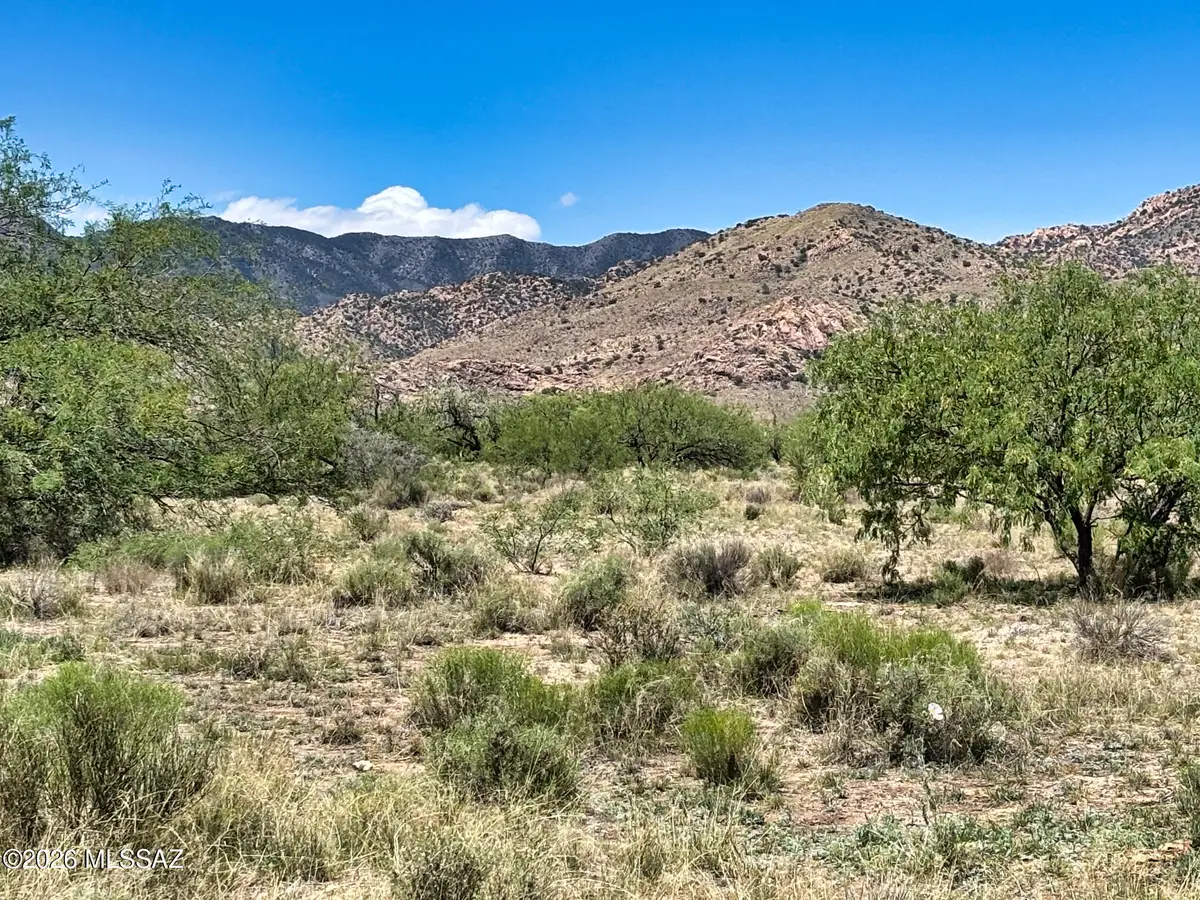 Single Lot Zinnia, Pearce, AZ 85625 - #1
