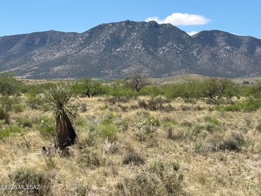 Single Lot Zinnia, Pearce, AZ 85625 - #3