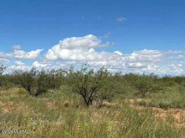 Single lot Upton, Pearce, AZ 85625 - #1