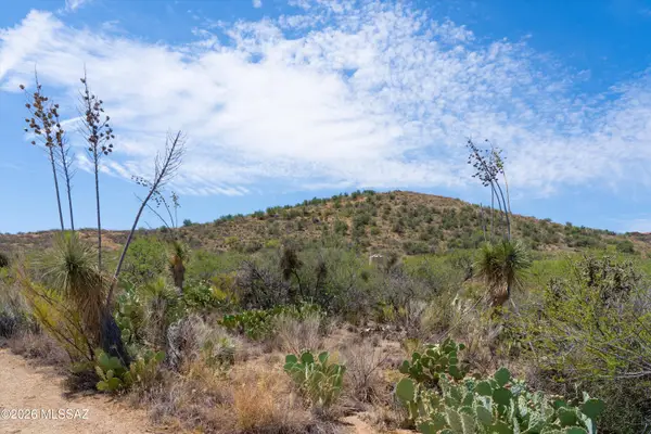 Lot D W Paseo Redondo, Oracle, AZ 85623
