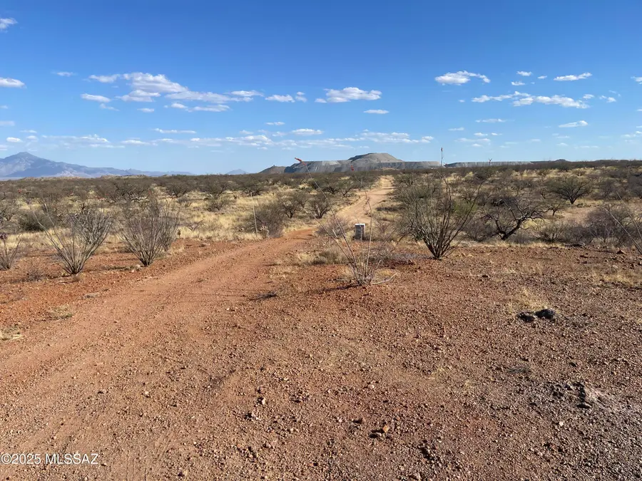 S Wright Brothers, Sahuarita, AZ 85629 - #3