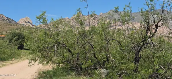 TBD Lehigh, Pearce, AZ 85625