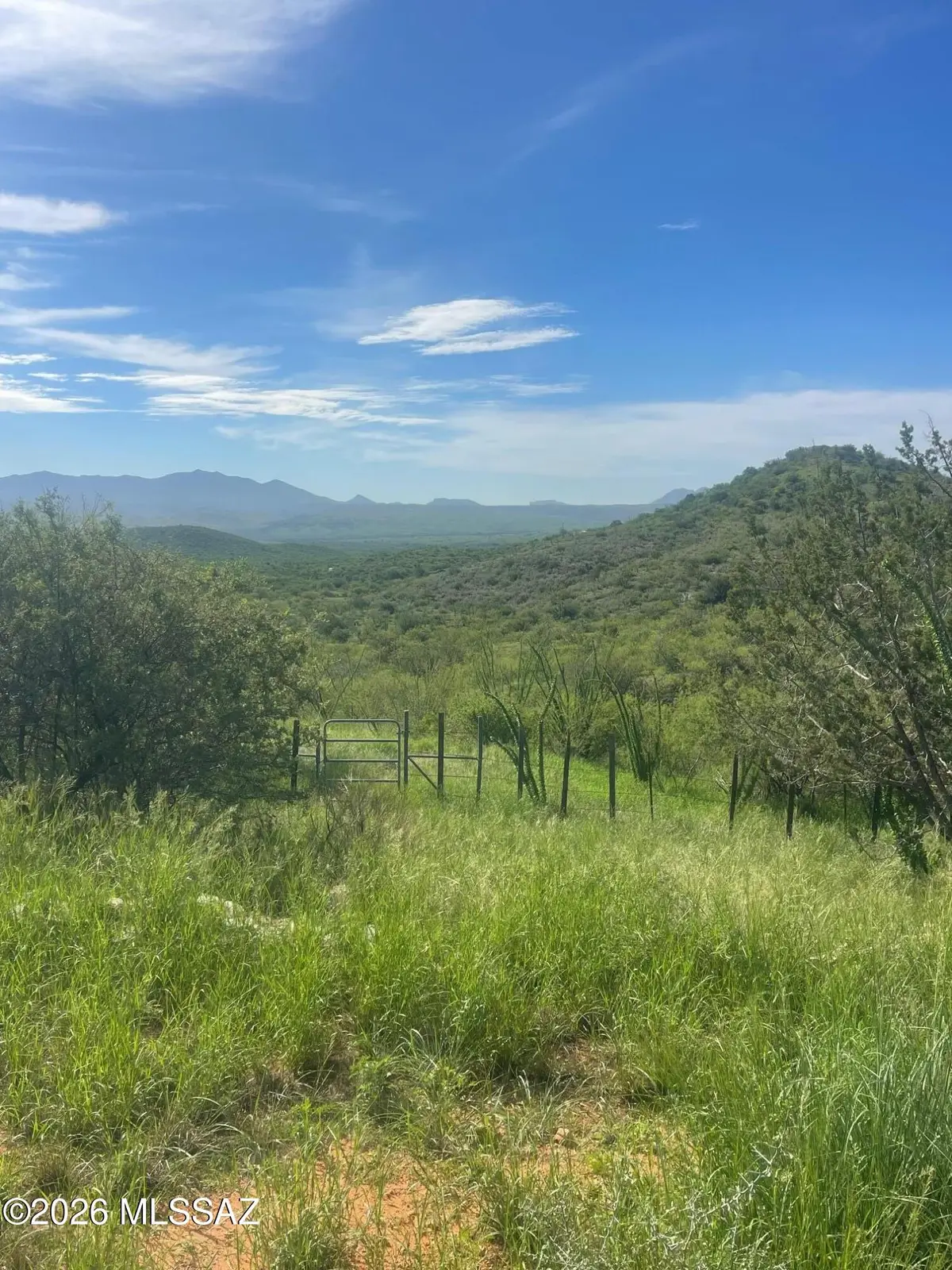 21425 S Black Tail Deer Mine, Vail, AZ 85641 - #1