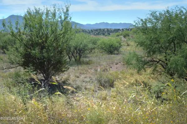 601 Dropseed, Patagonia, AZ 85624