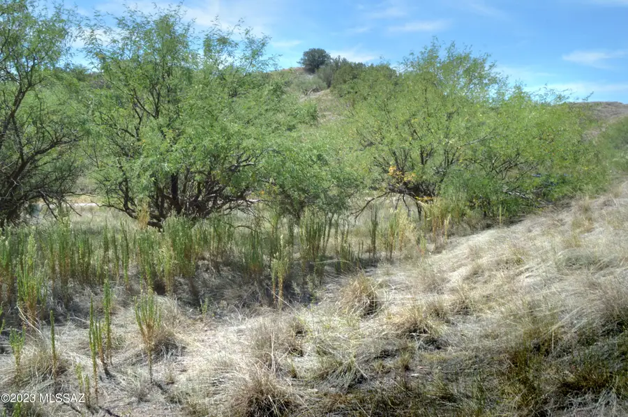 601 Dropseed, Patagonia, AZ 85624 - #2