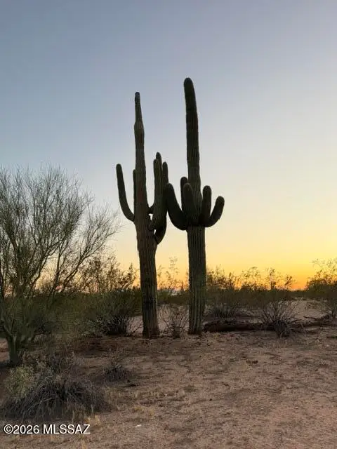 XXX E Vista Grande, Marana, AZ 85658 - #2