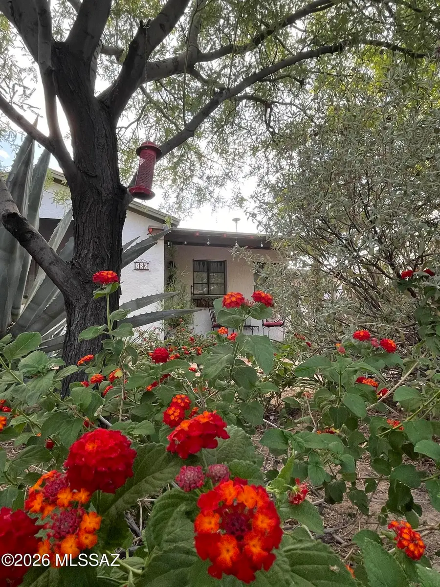 736 S Herbert, Tucson, AZ 85701 - #3