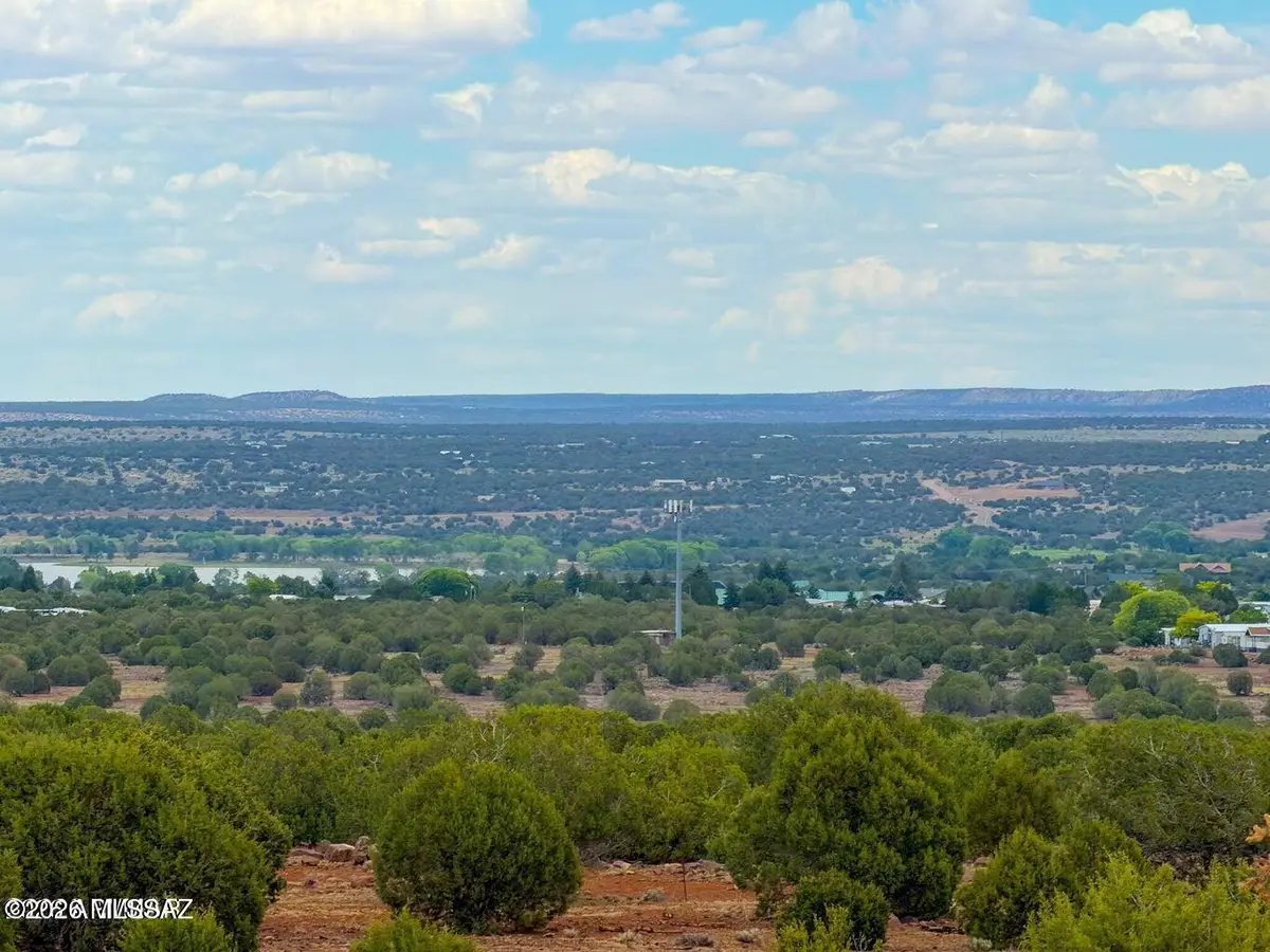 8087 Mustang 20 Acres, Show Low, AZ 85901 - #1