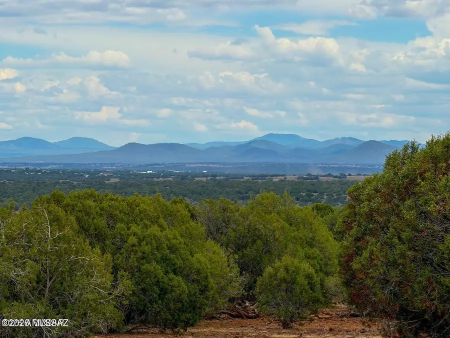 8087 Mustang 20 Acres, Show Low, AZ 85901 - #2