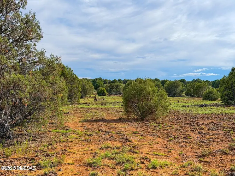8087 Mustang 20 Acres, Show Low, AZ 85901 - #3