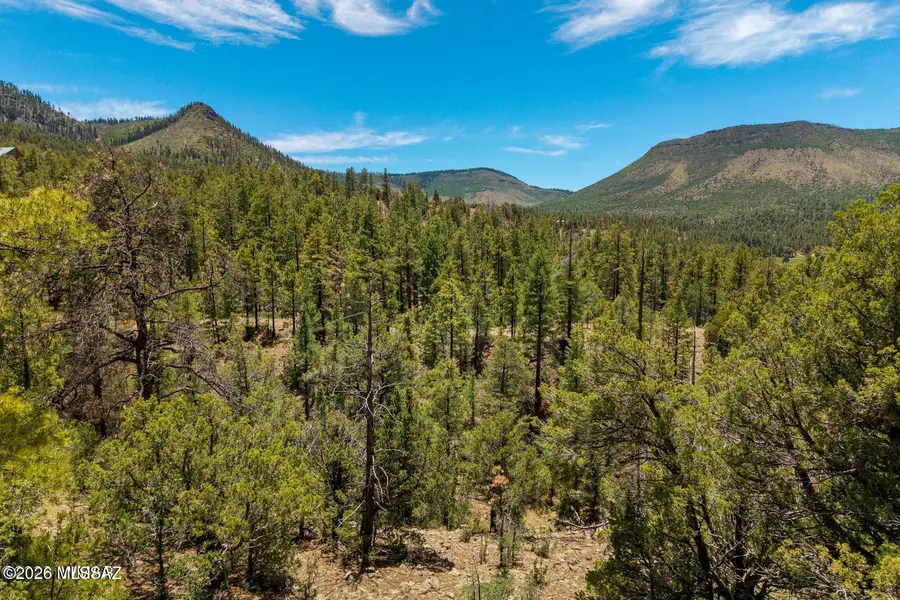 34 County Road 2279, Nutrioso, AZ 85932 - #2