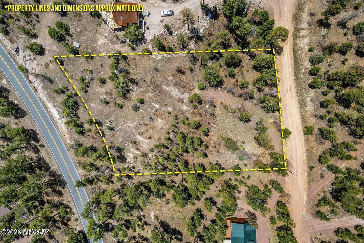 9 County Road, Alpine, AZ 85920 - #1