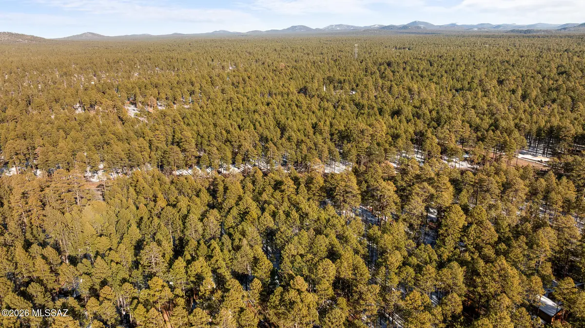 2627 Douglas Fir, Pinetop, AZ 85935 - #1