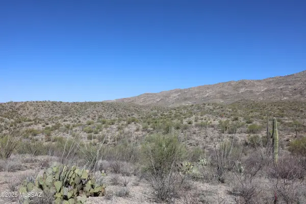 E Rincon Creek Ranch, Tucson, AZ 85747