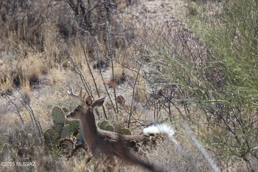 E Rincon Creek Ranch, Tucson, AZ 85747 - #3