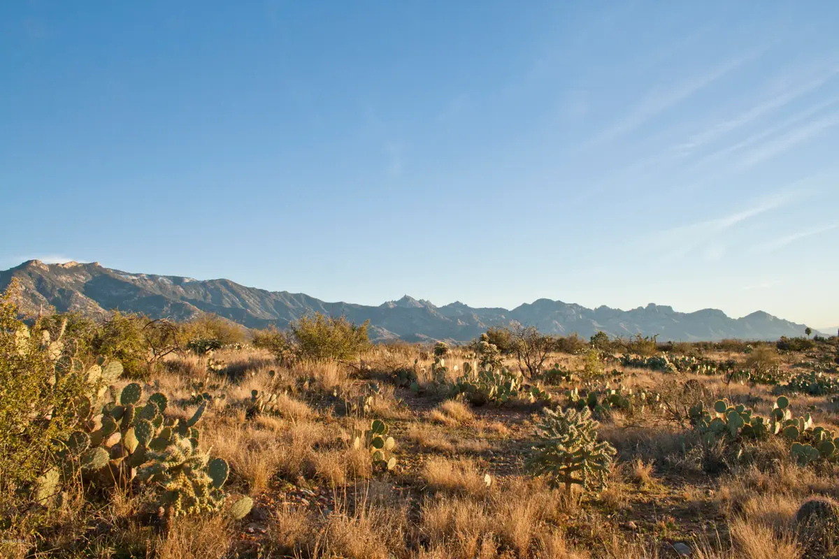 0 E Calle Rosa Linda, Tucson, AZ 85739 - #1