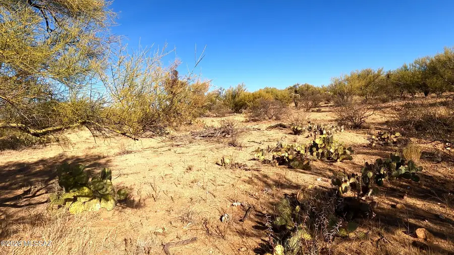 16378 W Nucla, Tucson, AZ 85736 - #2