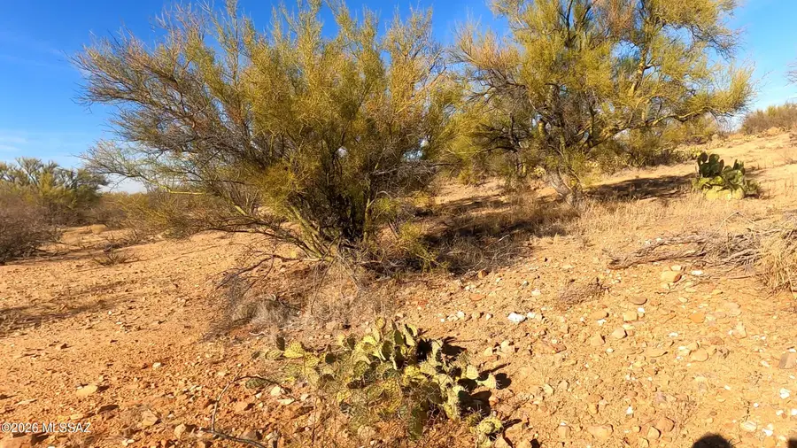 16378 W Nucla, Tucson, AZ 85736 - #3