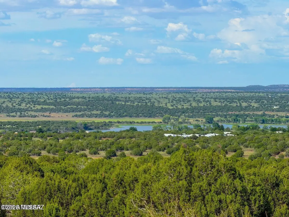 8087 Mustang Ln 20 Acres, Show Low, AZ 85901 - #1
