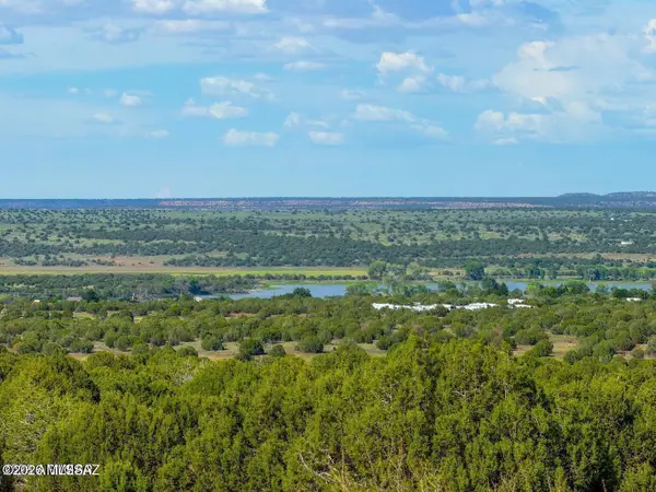 8087 Mustang Ln 20 Acres, Show Low, AZ 85901