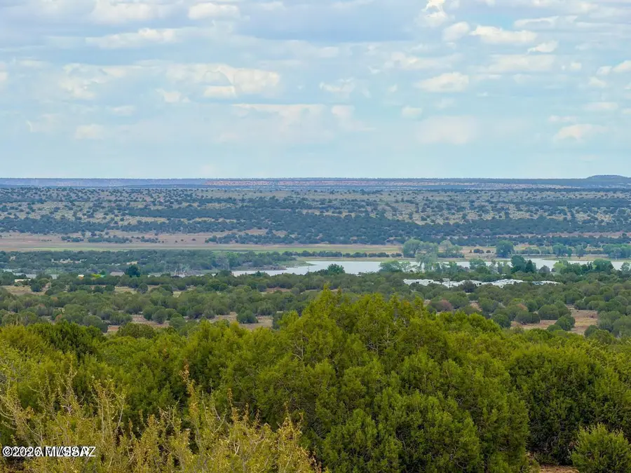 8087 Mustang Ln 20 Acres, Show Low, AZ 85901 - #2
