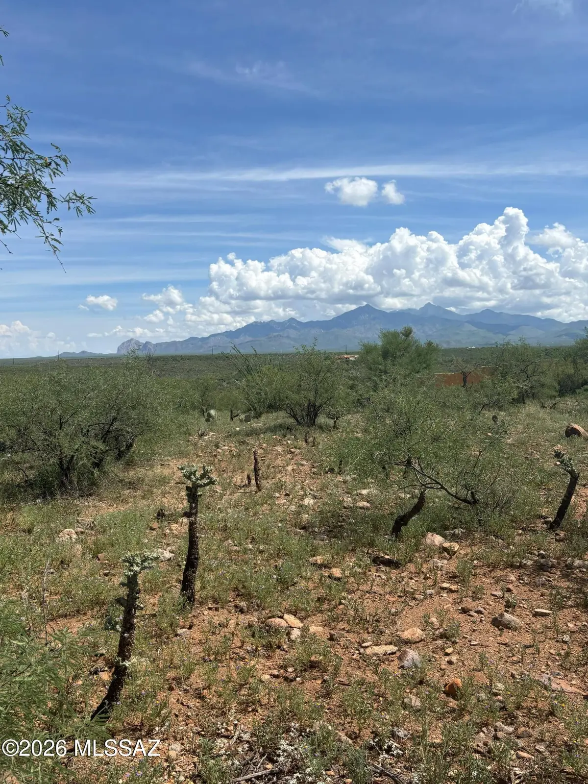 1797 Oahu, Rio Rico, AZ 85648 - #1