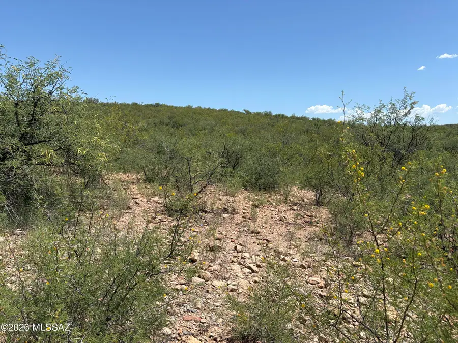 1059 Paseo Magdalena, Rio Rico, AZ 85648 - #3