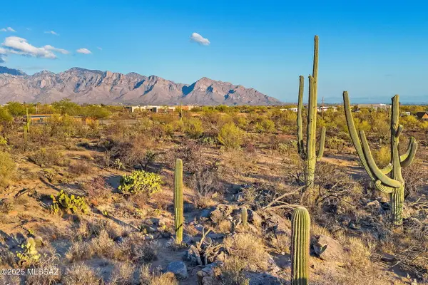 2676 W Cougar Canyon, Tucson, AZ 85755
